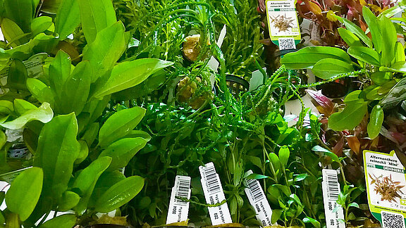 Zoo Geschäft Kunath Bautzen Zoo Geschäft Kunath Bautzen